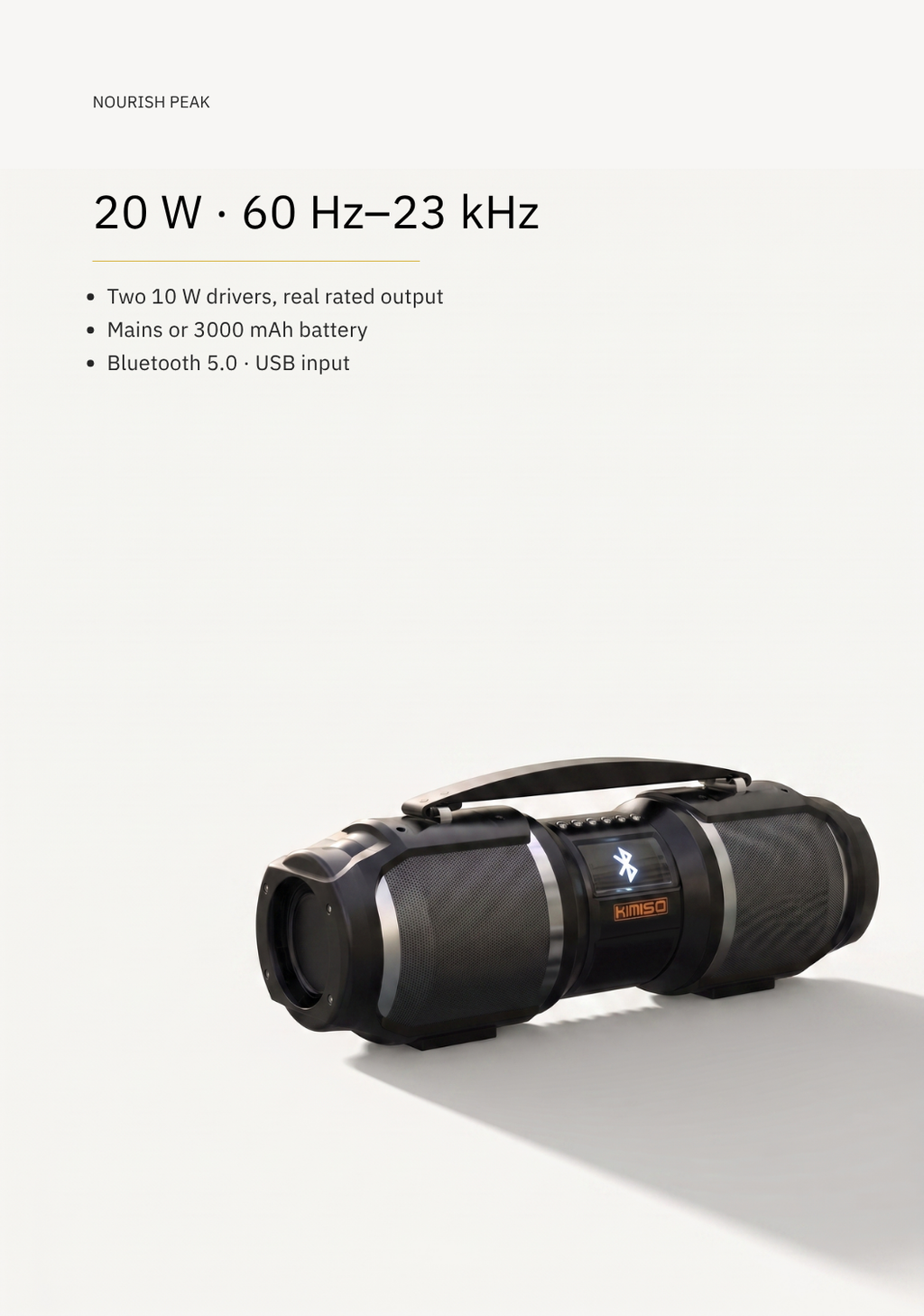 Bluetooth Party Speaker — 20 W, Karaoke Mic Input, Mains or Battery