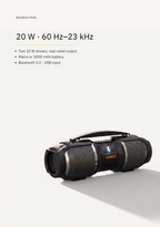 Bluetooth Party Speaker — 20 W, Karaoke Mic Input, Mains or Battery