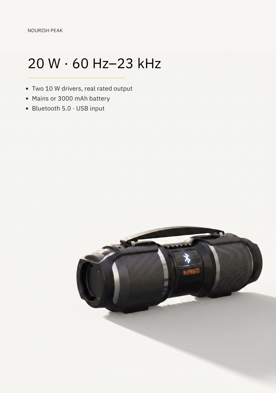 Bluetooth Party Speaker — 20 W, Karaoke Mic Input, Mains or Battery